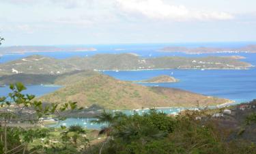Down Island View