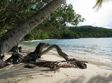 Gibney Beach St John, VI by Amy McColl