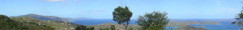 Down Island View