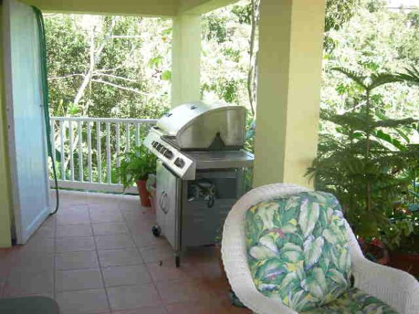 30,000 BTU BBQ