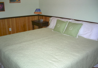 King can be Converted into Twins